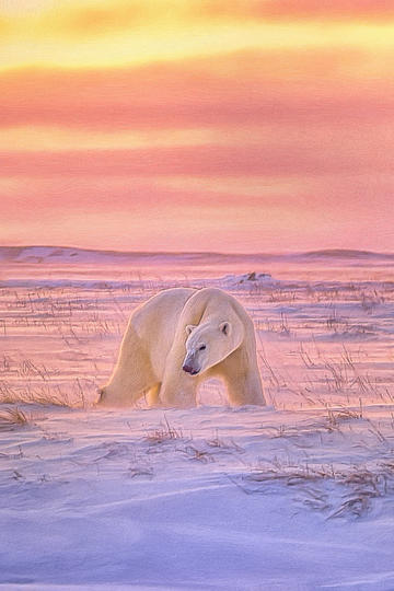 giselle时尚表现力