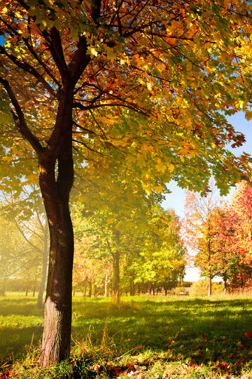 被爱情滋养的周冬雨气质大变，穿抹胸裙烫羊毛卷嫩回20岁，美得女人味十足