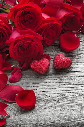 美国媒体都急了，特朗普你能不能休息一天