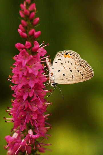 这几类医务人员，很难干到退休了