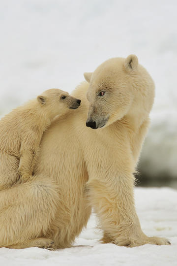 印巴双方防空能力究竟几何
