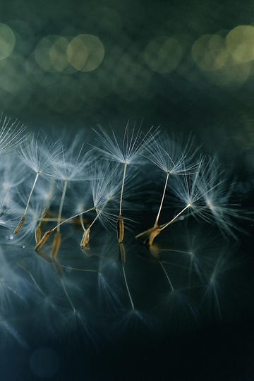 为什么很少人去南美洲旅行?