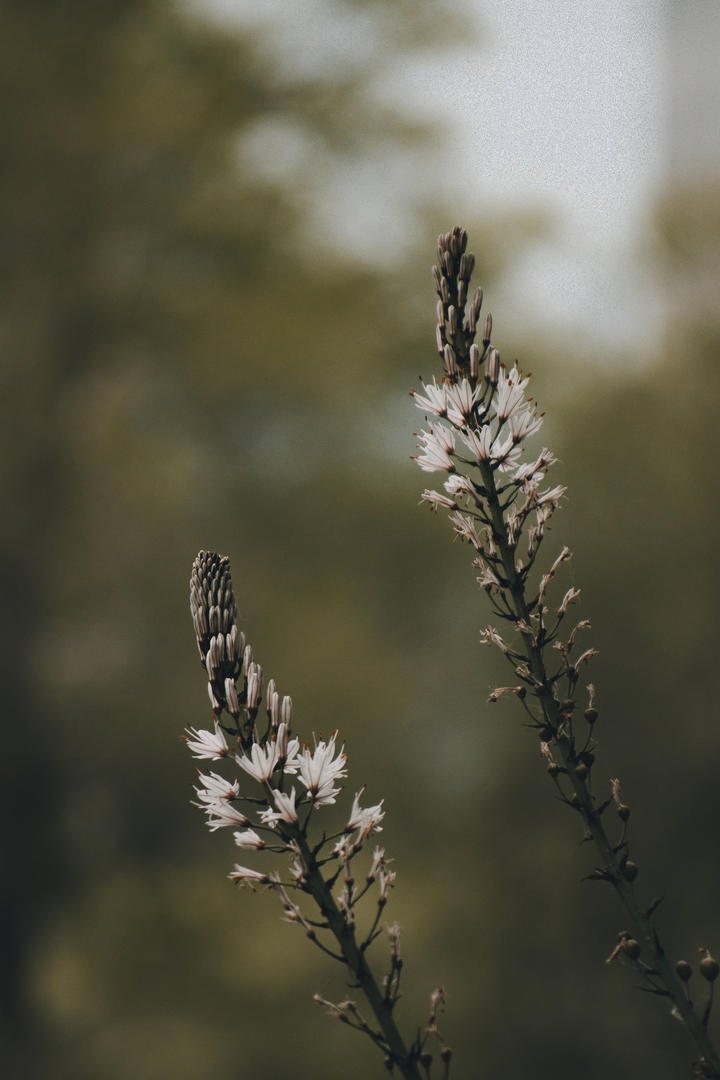 国防部：台湾当归 归来天地宽