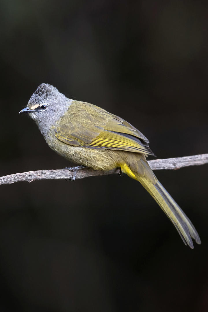 部分医院倾向于不招4加4毕业生