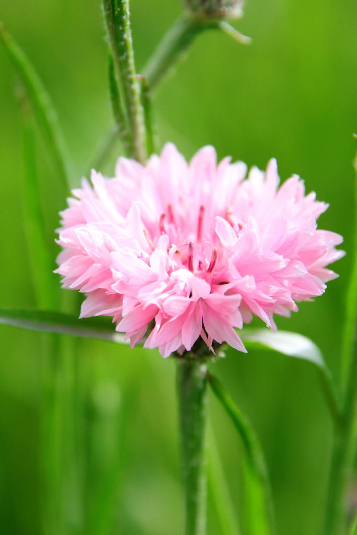 科学家Z轴种菜产量翻100倍